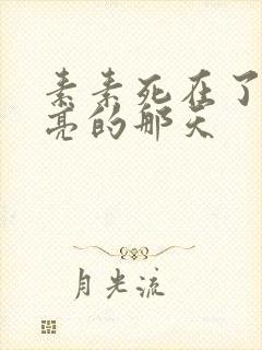 素素死在了最漂亮的那天