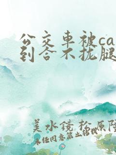 公交车被cao到合不拢腿视频