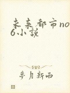 未来都市no.6小说
