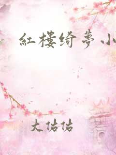 红楼绮梦小说