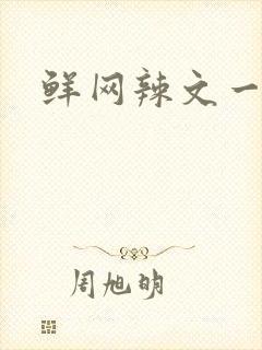 鲜网辣文一对一