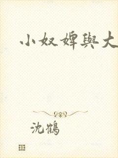 小奴婢与大少爷