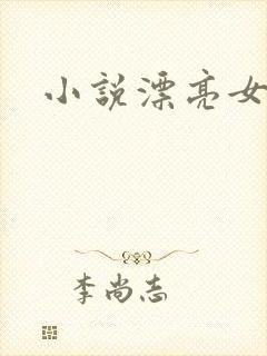 小说漂亮女局长