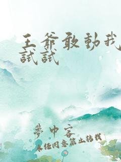 王爷敢动我妈咪试试