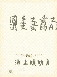 国产又黄又硬又湿又黄的A片小说