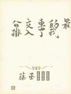 公交车的最后一排入了我