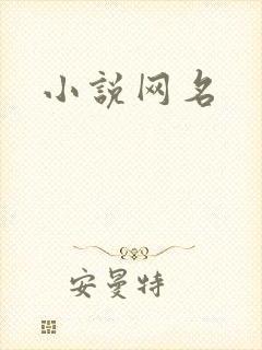 小说网名