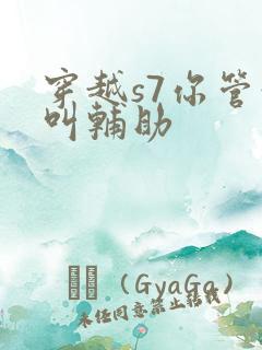 穿越s7你管这叫辅助