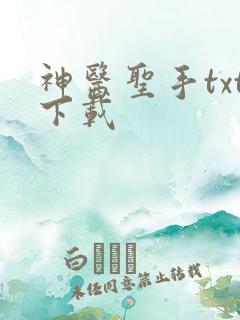 神医圣手txt下载