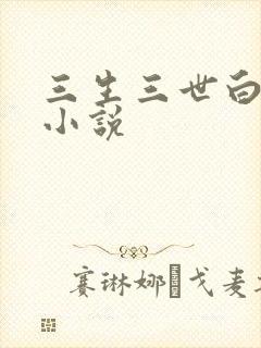 三生三世白暮泪小说