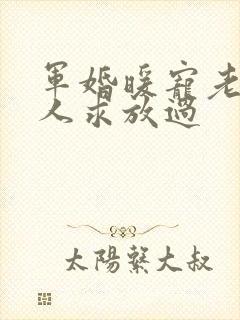 军婚暖宠老公大人求放过