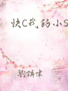 快C我的小SB