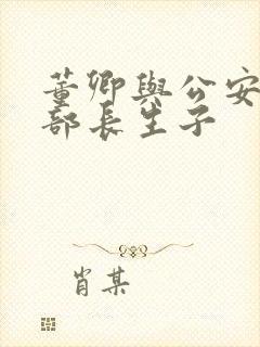 董卿与公安部副部长生子