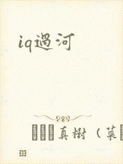 iq过河