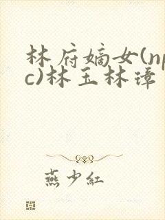 林府嫡女(npc)林玉林璋