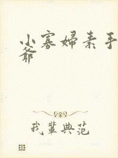 小寡妇素手擒四爷