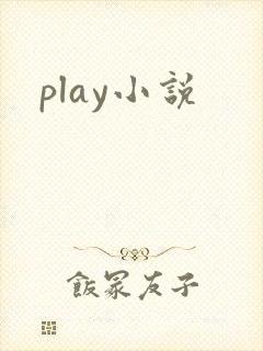 play小说