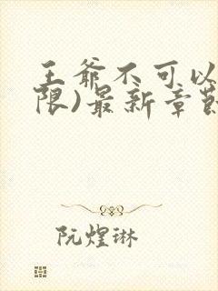 王爷不可以!(限)最新章节