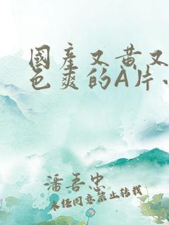 国产又黄又大又色爽的A片小说