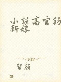 小说高官的暗夜新娘