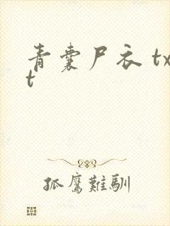 青囊尸衣 txt