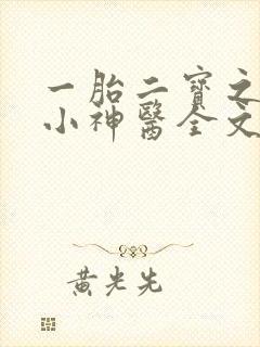 一胎二宝之弃妃小神医全文免费阅读