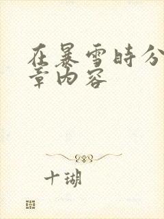 在暴雪时分54章内容