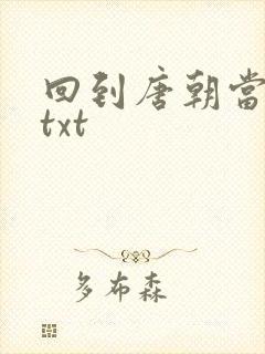 回到唐朝当皇帝txt