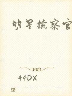 明星检察官小说