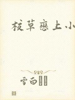 校草恋上小丫头