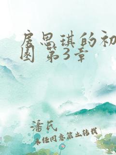 房思琪的初恋乐园 第3章