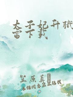 太子妃升职记迅雷下载