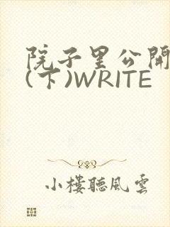 院子里公开惩戒(下)WRITE