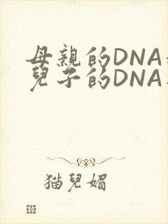 母亲的DNA和儿子的DNA是一样的吗