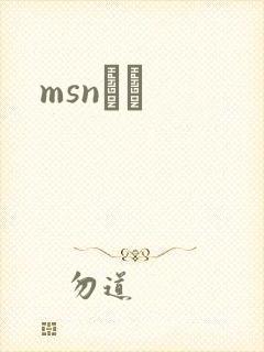 msnС˵