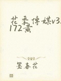 花季传媒v3.172黄