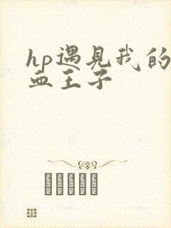 hp遇见我的混血王子