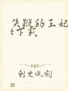 失踪的王妃txt下载