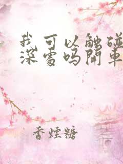 我可以触碰你的深处吗开车作文