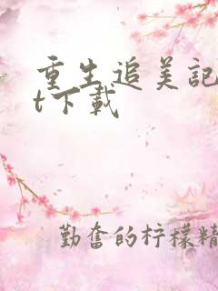 重生追美记txt下载