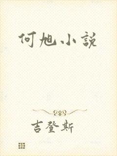何旭小说