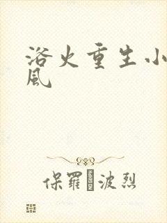 浴火重生小说陈风
