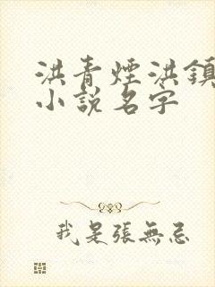 洪青烟洪镇国的小说名字