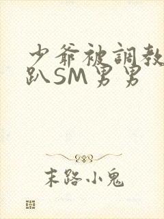 少爷被调教室跪趴SM男男