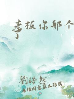 老板你那个太长了