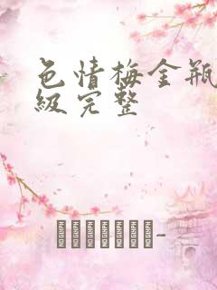 色情梅金瓶2三级完整