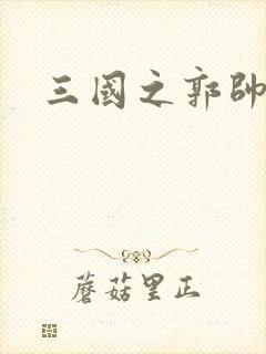 三国之郭帅传奇