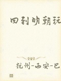 回到明朝玩网游