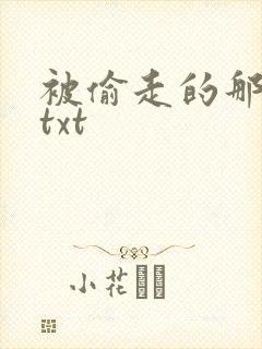 被偷走的那五年txt