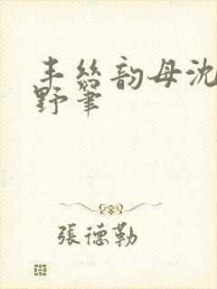 丰丝韵母沈蓉书野笔